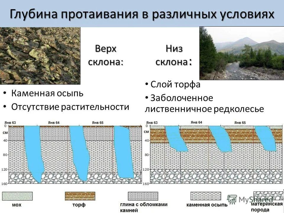 Какой толщины слой торфа образуется за год. Какой толщины слой торфа образуется за год
