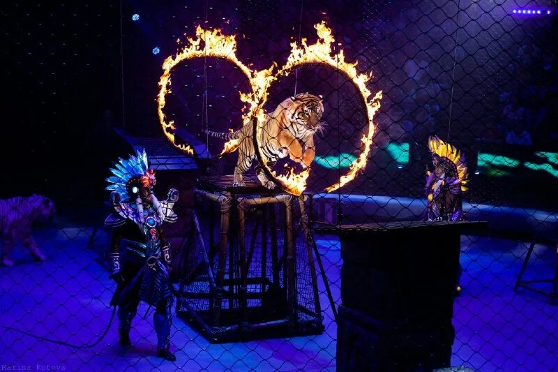 Цирк на фонтанке маска новогодняя программа. Новый год в цирке на фонтанке. Цирк баронеты гия эрадзе. Бриллиантовый цирк якутск. Цирковая программа клоун.