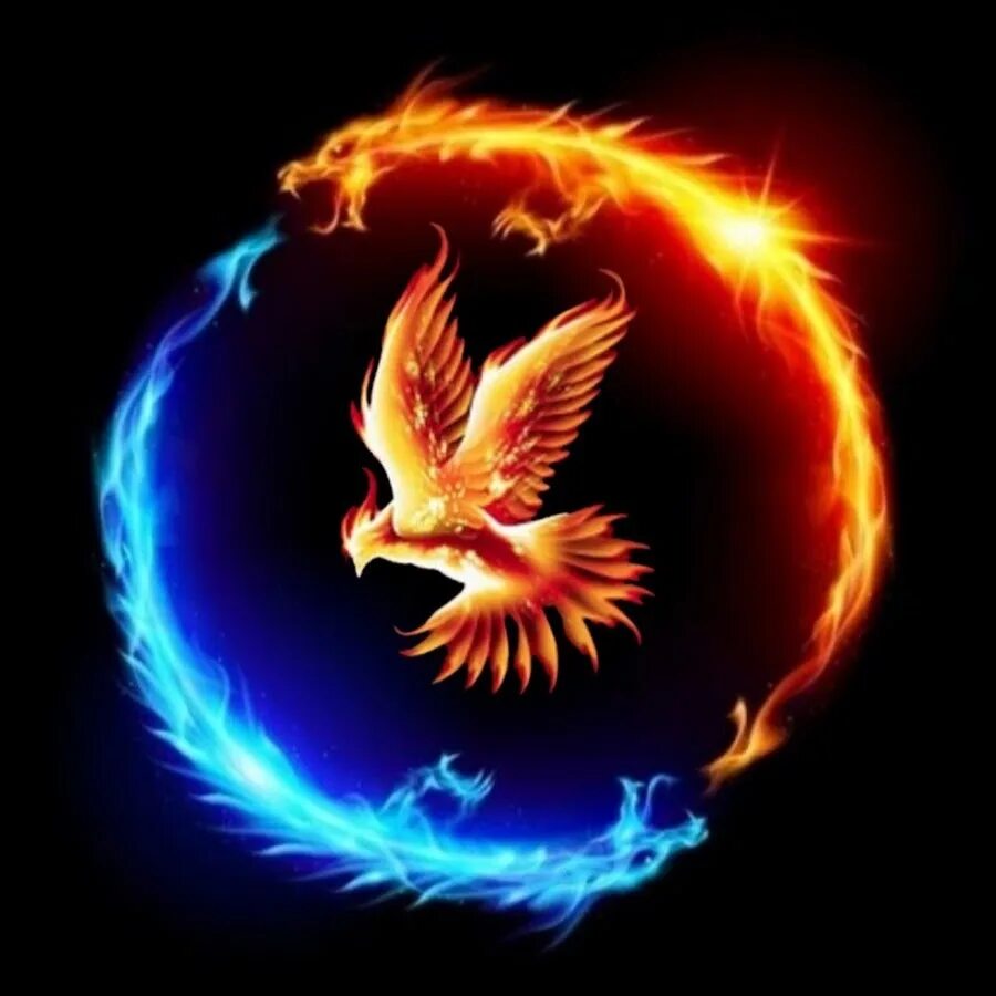 Феникс возрождение. Phoenix вк. The gems phoenix 2024. The gems phoenix 2024. Phoenix вк.