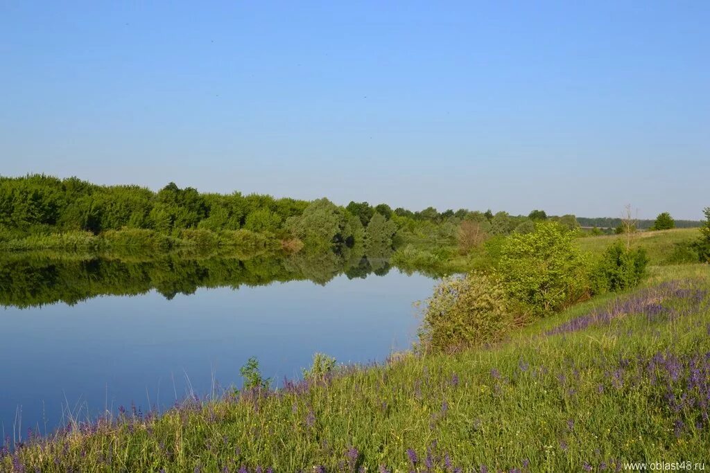 природа измалковского района. красивые места рядом с липецком. дуб конь колодезь липецкой области. жёлтые пески липецк. боринское река.