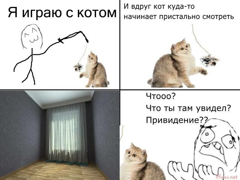 Мемы про котов. Котик смотрит в стену. Кот уставился в одну точку. Кот уставился в стену.