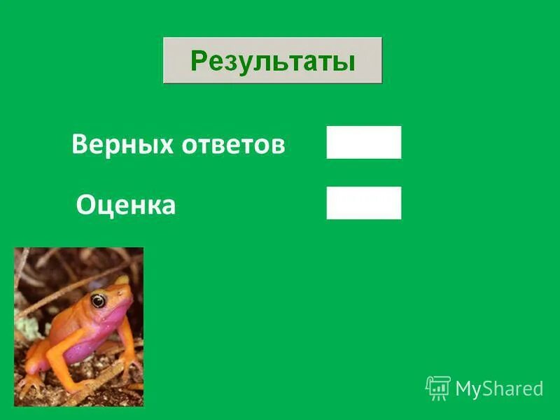 Тест по земноводным 8. Тест земноводные. Тест по земноводным с ответами. Класс земноводные тест ЕГЭ.