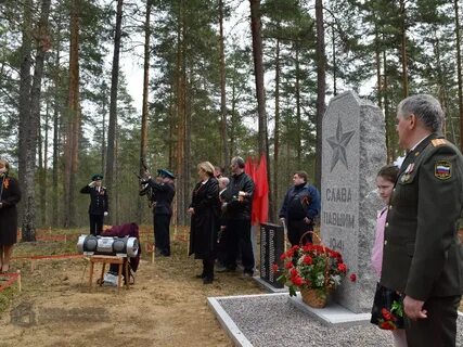 Каменногорское городское поселение