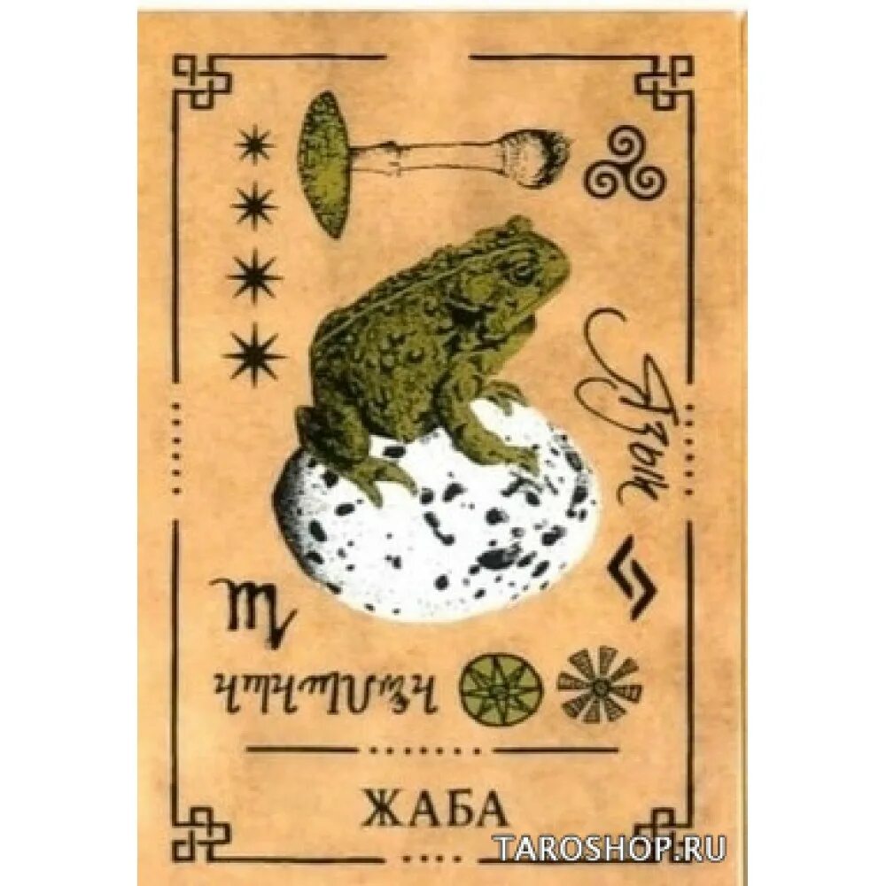 Карты викканского оракула. Викканский оракул теней галерея карт. оракул теней арабо саргсян. викканский оракул теней карты таро. карты таро жаба.