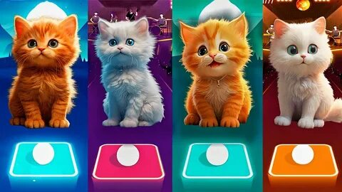 Dancing cats music