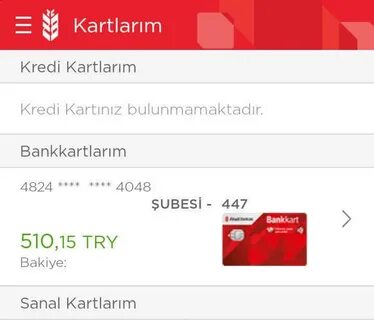 Ziraat bankası internet