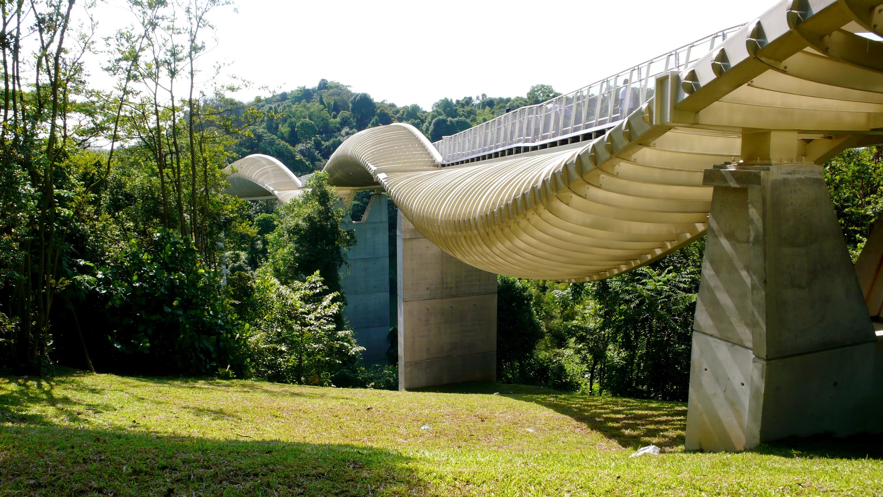 мост «волны хендерсона» (henderson waves bridge) в сингапуре. творение хендерсона. мост волны хендерсона в сингапуре. монстр тревора хендерсона ягненок. творение тревела хендерсона.
