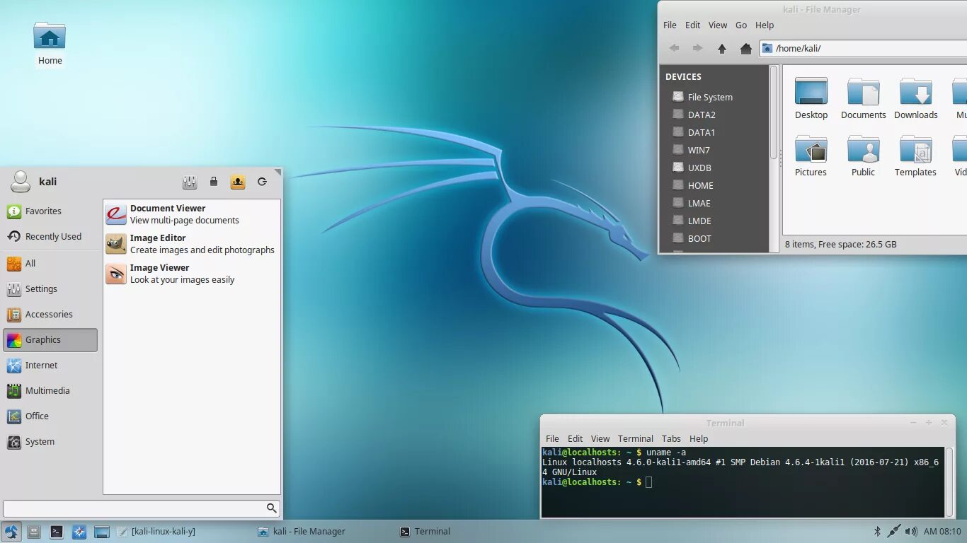 Kali linux интерфейс. Kali linux lxde. xfce kali linux. ubuntu или kali linux.