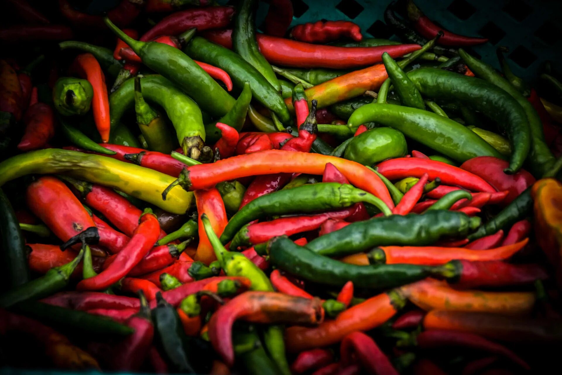 Стручковый или мексиканский перец Capsicum annuum - "* Смотреть - можно, есть - 