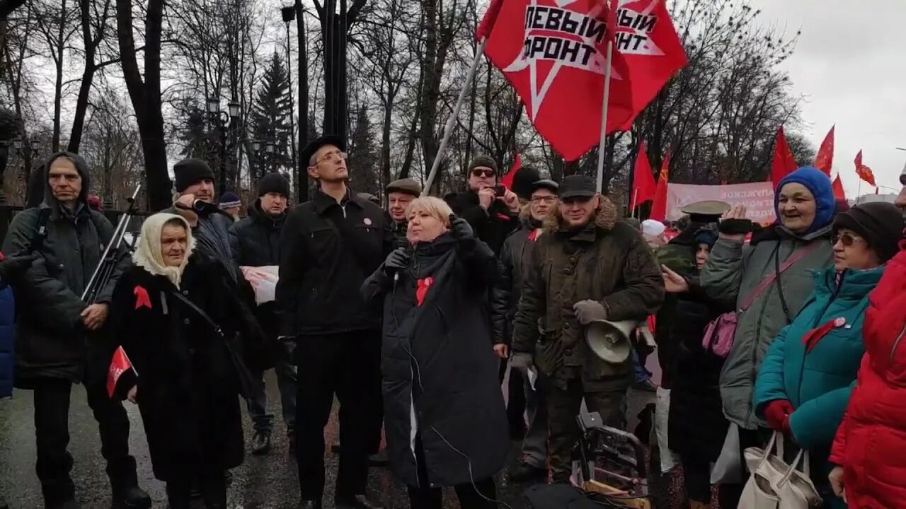 Традиционный митинг к 23 февраля. Левый фронт против электронного голосования. Катя Мочалова левый фронт.