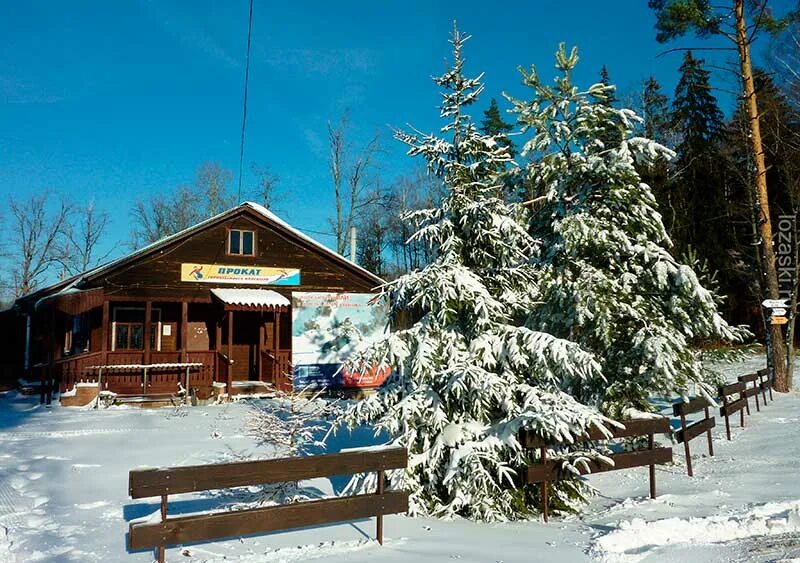 Горнолыжная база лоза сергиев посад. Лоза ски. Горнолыжка сергиев посад лоза. Горнолыжка сергиев посад лоза. Лоза центр.