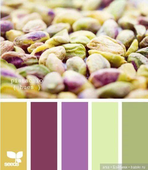 Сочетание цветов фисташковый в одежде. С чем сочетается фисташка. Фисташковый цвет сочетание. Сочетание цветов с кремовым. Светло салатовый в одежде.