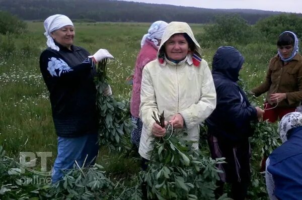 Дубъязская СОШ Высокогорского района. Село Дубъязы Высокогорский район. Жители деревни Дубъязы. Село Дубъязы Татарстан. Погода в дубьязах