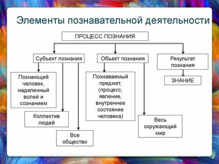 Роль практики в познавательной деятельности