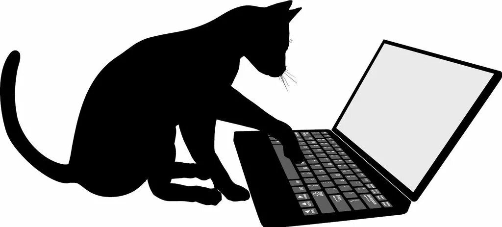 Сижу переписываюсь. Кот с ноутбуком. Кошка и компьютер. Котик с компьютером. Ноутбук рисунок.
