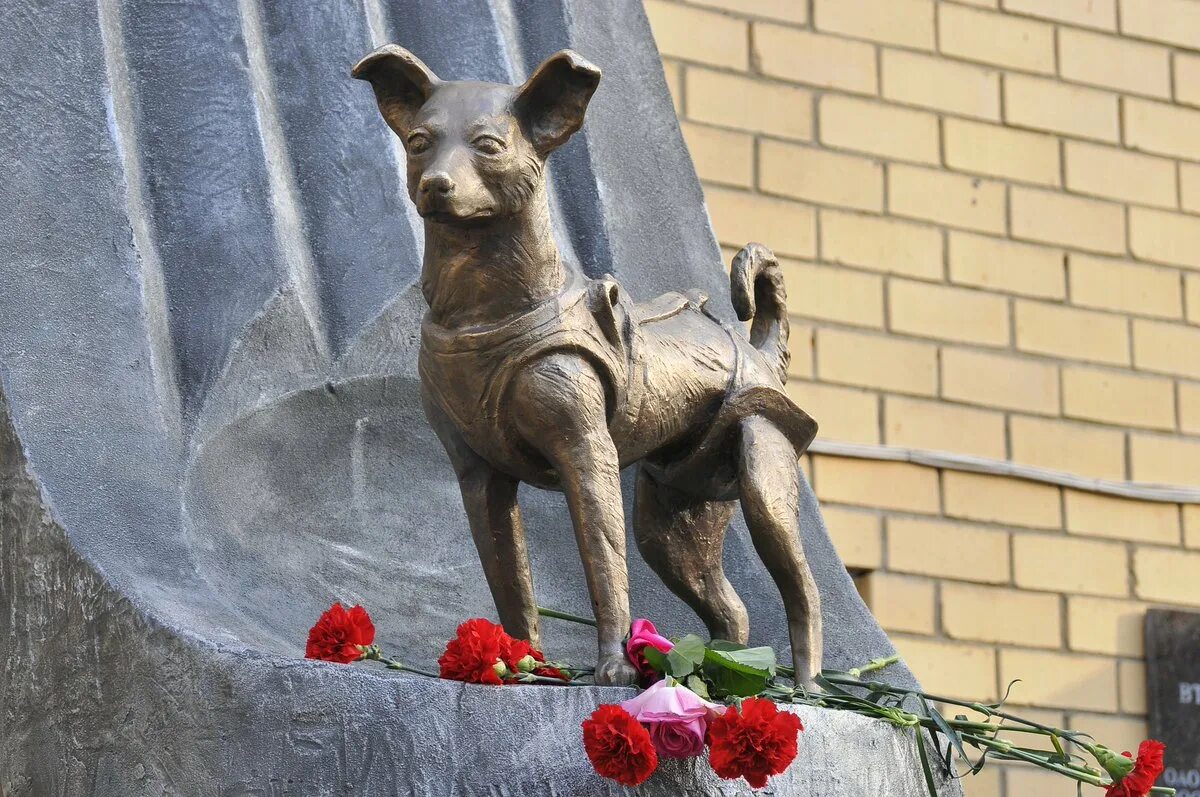 Поклонная гора памятник фронтовой собаке. Собака обелиска. Терлецкая дубрава памятник собаке. Памятник собаке в москве институт военной медицины. Собака обелиска.