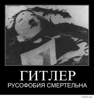 Русофобия что это