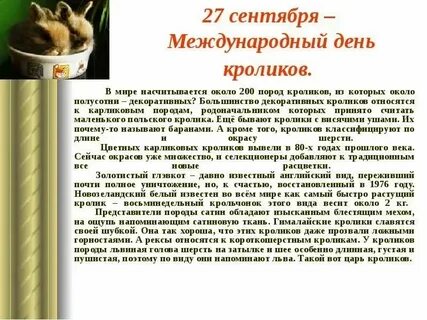 День кролика 2024