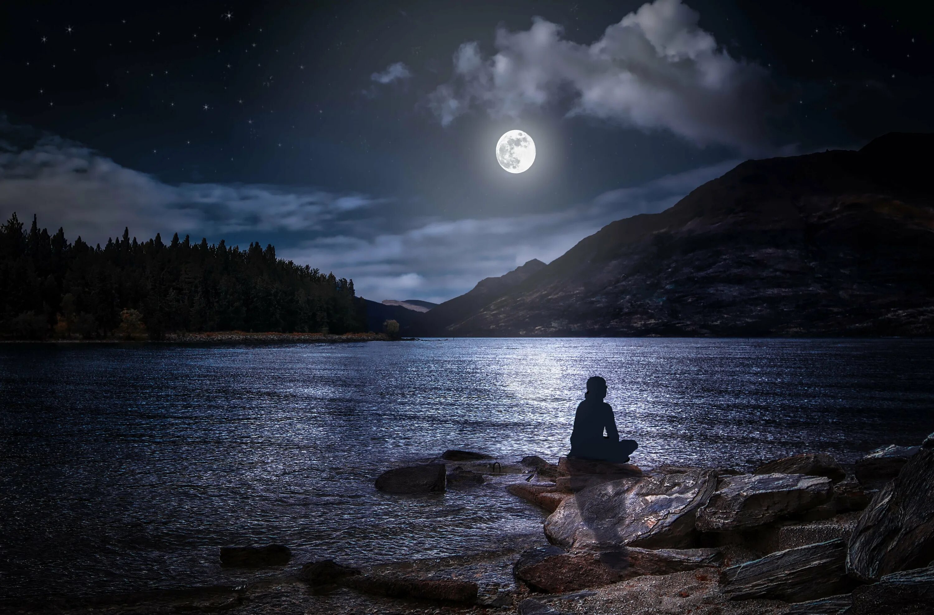 Вокруг было только посеребренное луной. Река ночью. Озеро в лунном свете. Природа ночью. Лунная ночь.