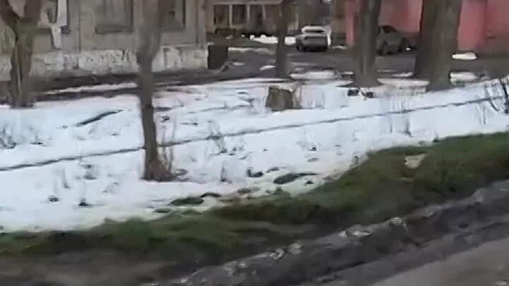 Часов яр бои видео. Часов яр. часов яр фото города.