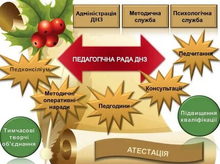 Днз