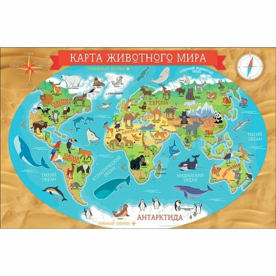 Карта животных. Материки и их животные. плакат карта животного мира. материки и животные которые на них живут. животный мир россии карта для детей.