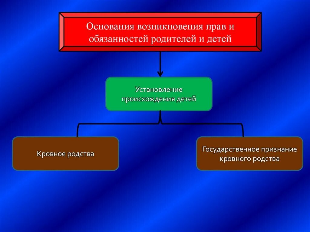 Что такое установление детей. Установление происхождения детей. установление происхождения детей презентация. установление происхождения детей семейное право.