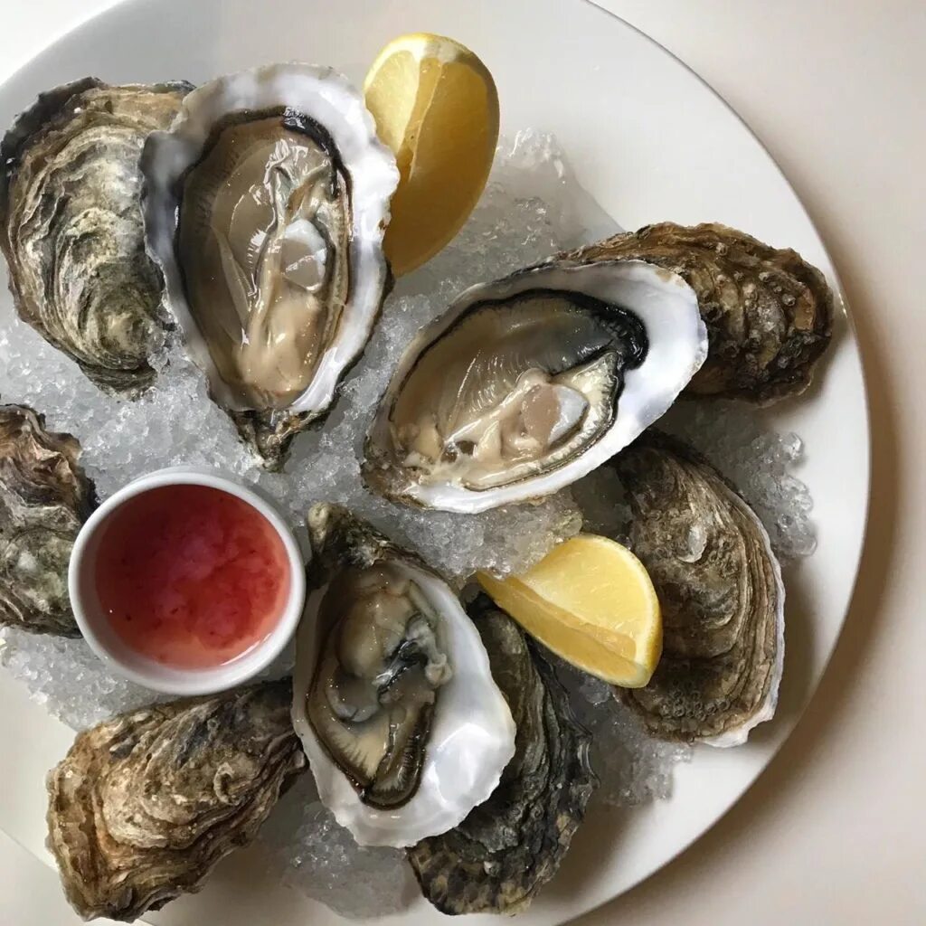 Деликатес брюхоногий моллюск. Морской гребешок на полустворке. Устрица моллюск. Дальневосточный гребешок ракушки. Двустворчатый деликатес.