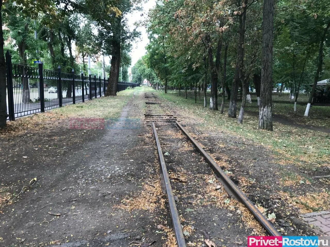 Стала известна судьба. Парк Островского Ростов-на-Дону рельсы. Детская железная дорога в Ростове в парке Островского. Парк на старых рельсах. Новая железная дорога в парке Островского.