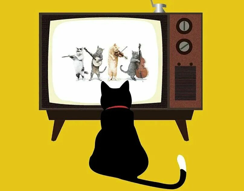 киберпанк обои на часы. коты и телевизор. кот на телевизоре. коте тв часы. котенок у телевизора.