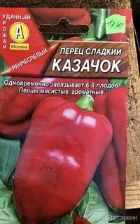 Казачок отзывы