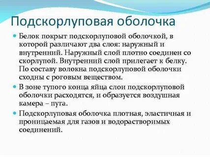 Подскорлуповая оболочка строение