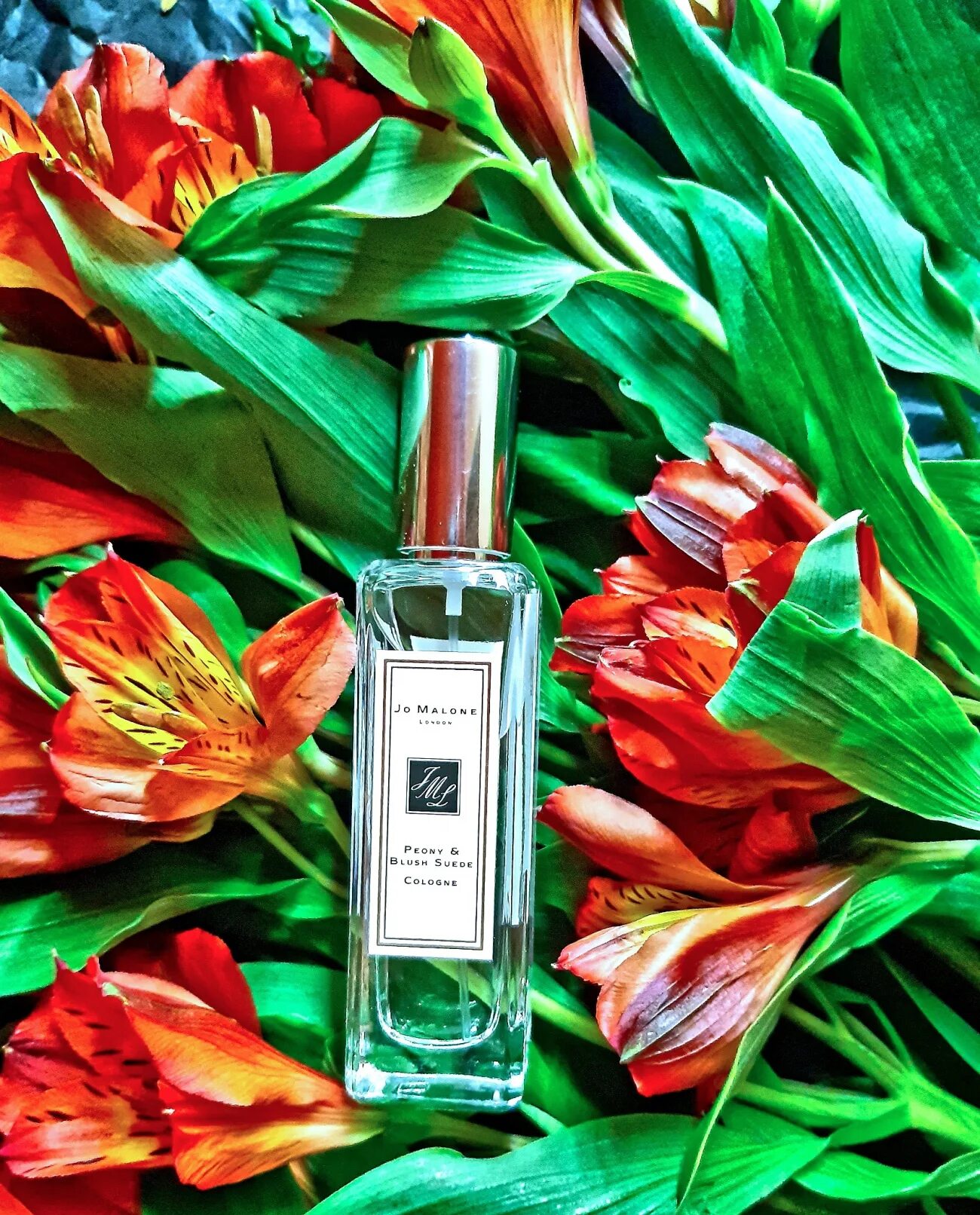 Jo malone peony blush. Духи jo malone peony blush. jo malone london peony &amp; blush suede cologne. духи jo malone peony blush suede. peony &amp; blush suede jo malone london.