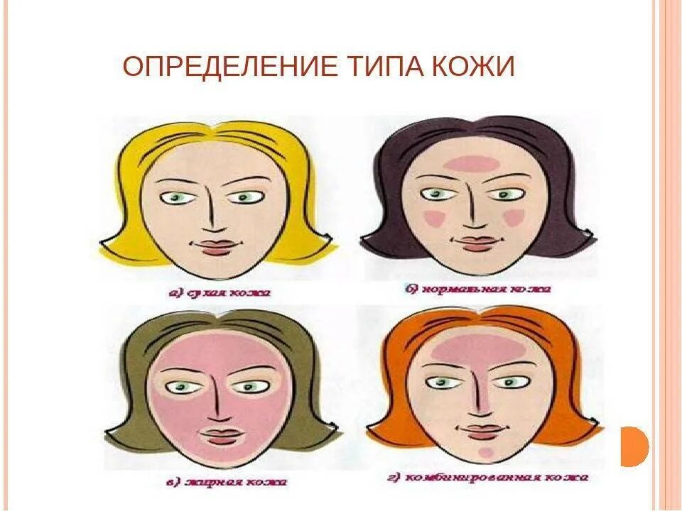 К какому типу относится кожа