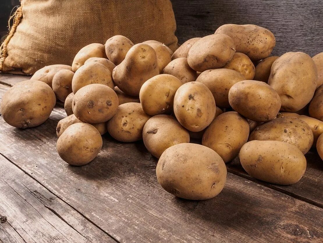 Potatoes picture. Картофель. Картофель картинка. Картошка 19 века. Что полезного в картофеле.