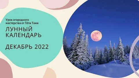 Лунный посевной календарь на ноябрь 2023 года