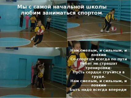 Профиль спортивной школы