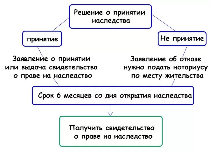 Способы принятия наследства схема. Порядок принятия наследства и отказа от наследства. Принятие и отказ от наследства. Порядок принятия наследства кратко. Отказаться от отказа от наследства