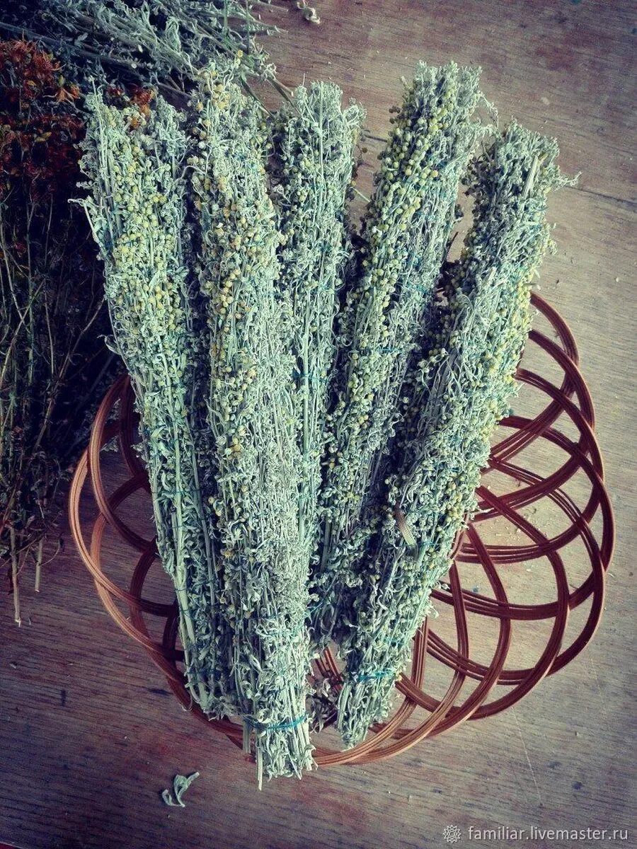 Полынь ведьмина трава. Полынь ведьмина трава. Полынь горькая. Для чего жгут полынь. Скрутка трав для окуривания полынь.