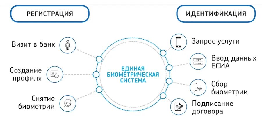 Единая биометрическая система. Удаленная идентификация. Единая биометрическая система Ростелеком. Биометрическая идентификация. Идентификация счета