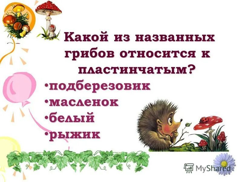 значение грибов. вопросы по биологии про грибы. какого человека называют грибом. головня спорынья трутовик. какого человека называют грибом.
