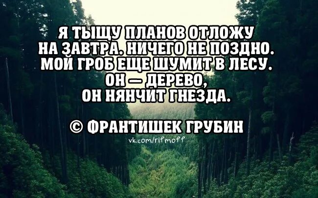 Он нянчит гнезда. Я тыщу планов отложу на завтра. Он дерево он нянчит гнезда. Мой гроб ещё шумит в лесу стих. Я тысячу слов готов