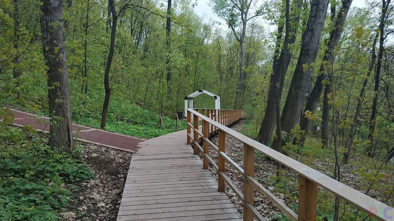 Экотропа у озера бездонного в серебряном бору. Вднх лесная тропа. Экотропа воробьевы горы. Экотропа воробьевы горы. Воробьёвы горы тропа.