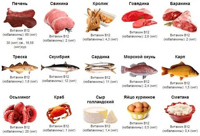 Что содержит печень. Витамин б12 источники. витамин в12 препараты. состав витамина б12. витамины в12 в каких продуктах содержится таблица.