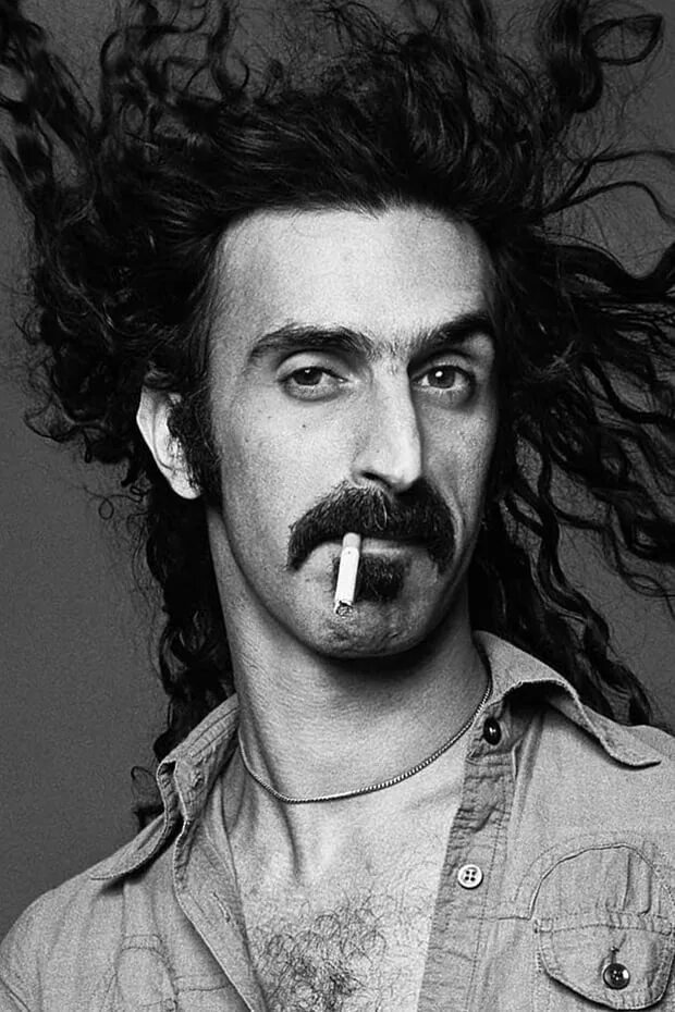 Фрэнк заппа википедия. Фрэнк винсент заппа. frank zappa 1993. фрэнк заппа музыкант. frank zappa 1973.