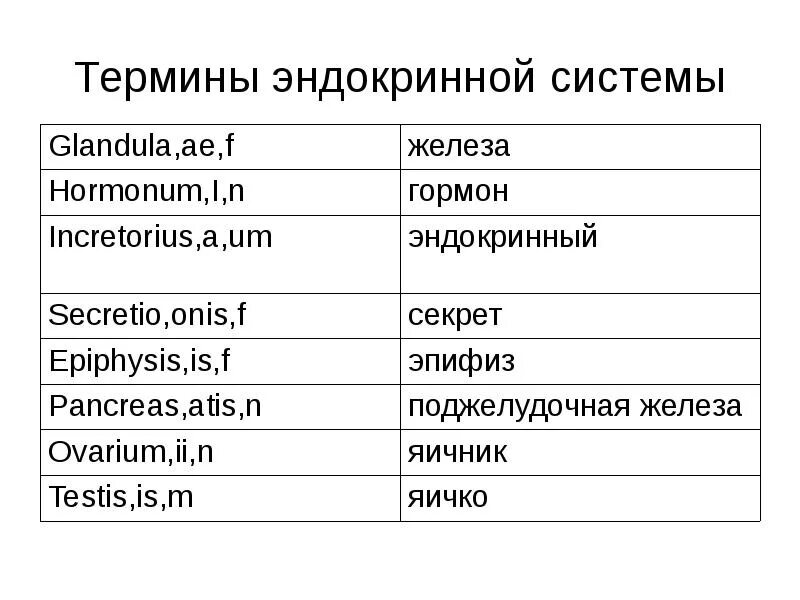 Конспект в переводе с латыни обзор это. Латинские термины в анатомии. Основные анатомические термины на латыни. Латинские термины по эндокринной системе. Основные понятия на латыни.