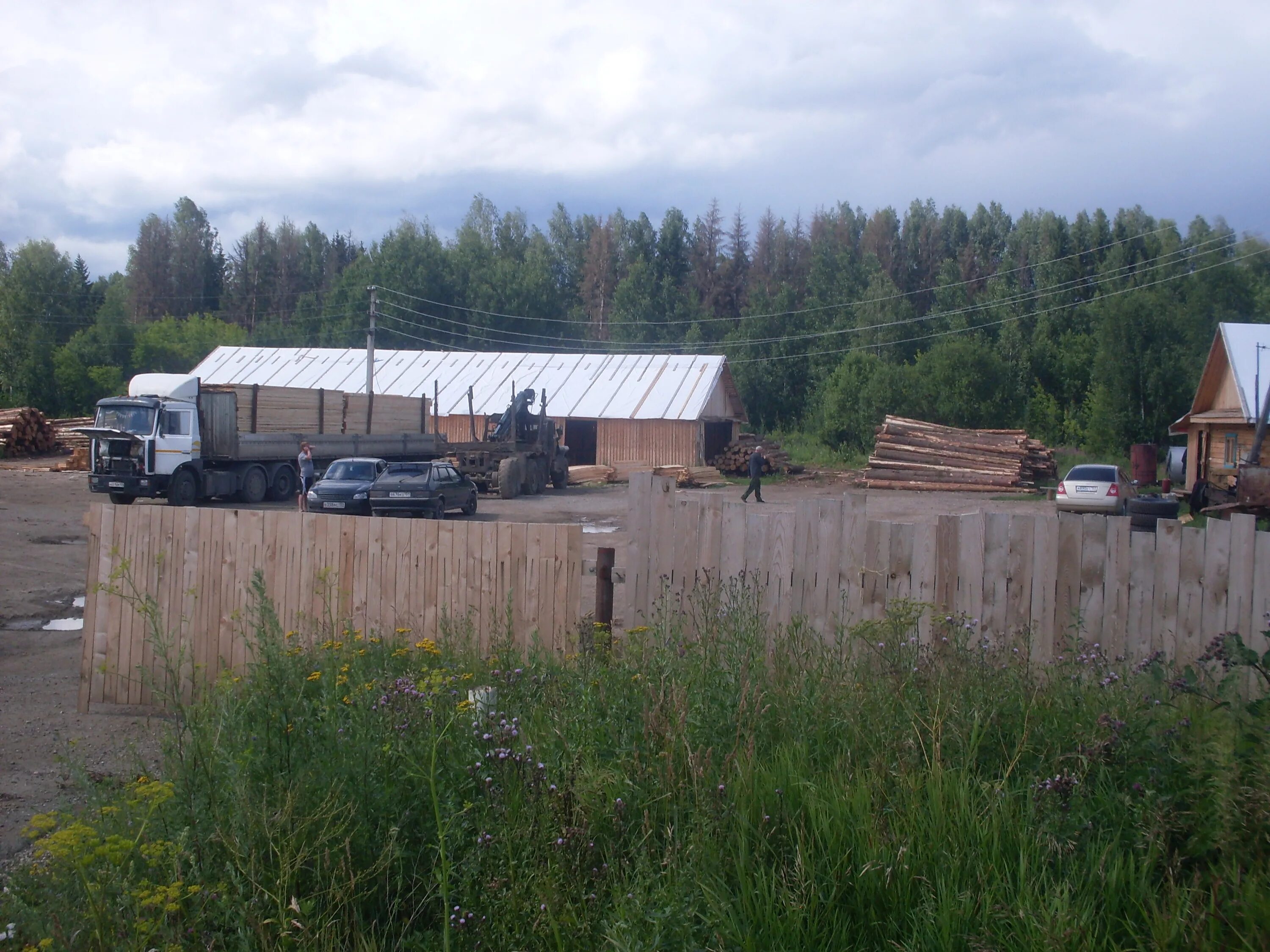 Лесопилка Приладожский Ленинградская область. Номер пилорамы в Янино в городе Вичуга. Лен обл Пустынька Лесопилка. Пантелейково Лесопилка Балашова. Где найти лесопилку