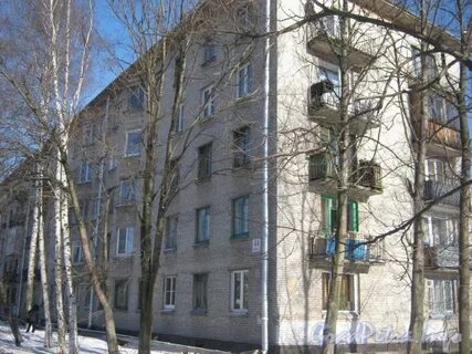Пограничника гарькавого 44