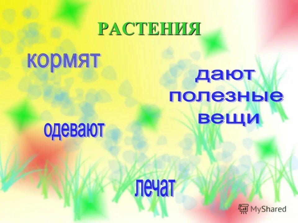 какие бывают растения. окружающий мир 2 класс презентации растения. растения 2 класс окружающий мир. деревья кустарники травы 2 класс окружающий мир. окружающий мир 2 класс презентации растения.