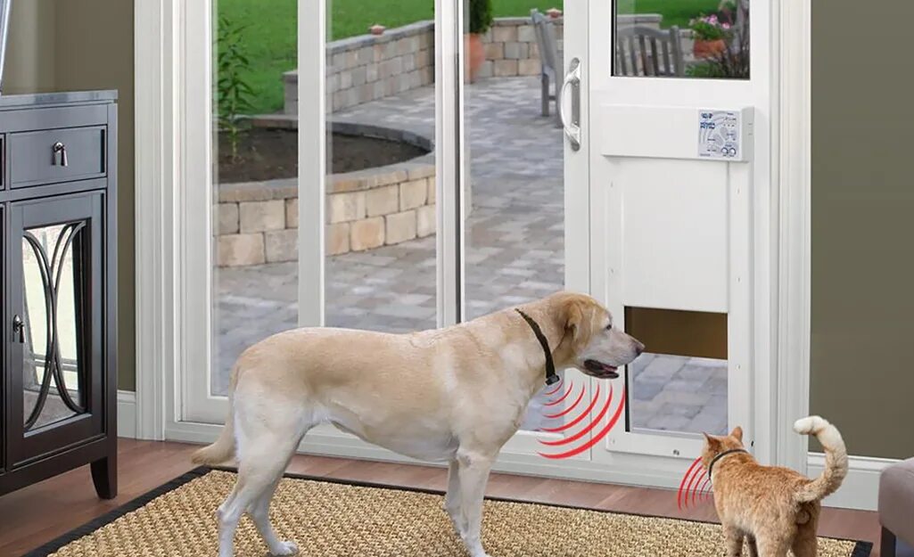 Pet Door. High Tech Pet Door. Doggie Door Electric. Automatic Dog Door with Collar.